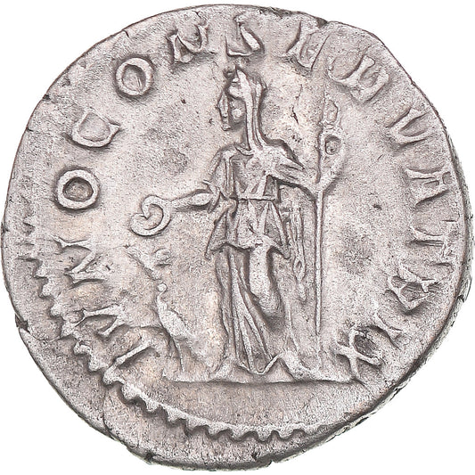 Mince,
Julia Mamaea,
denár