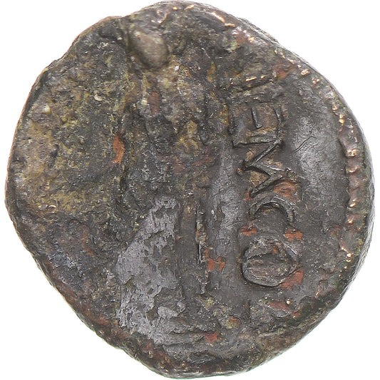 Mince,
Galie,
Æ
