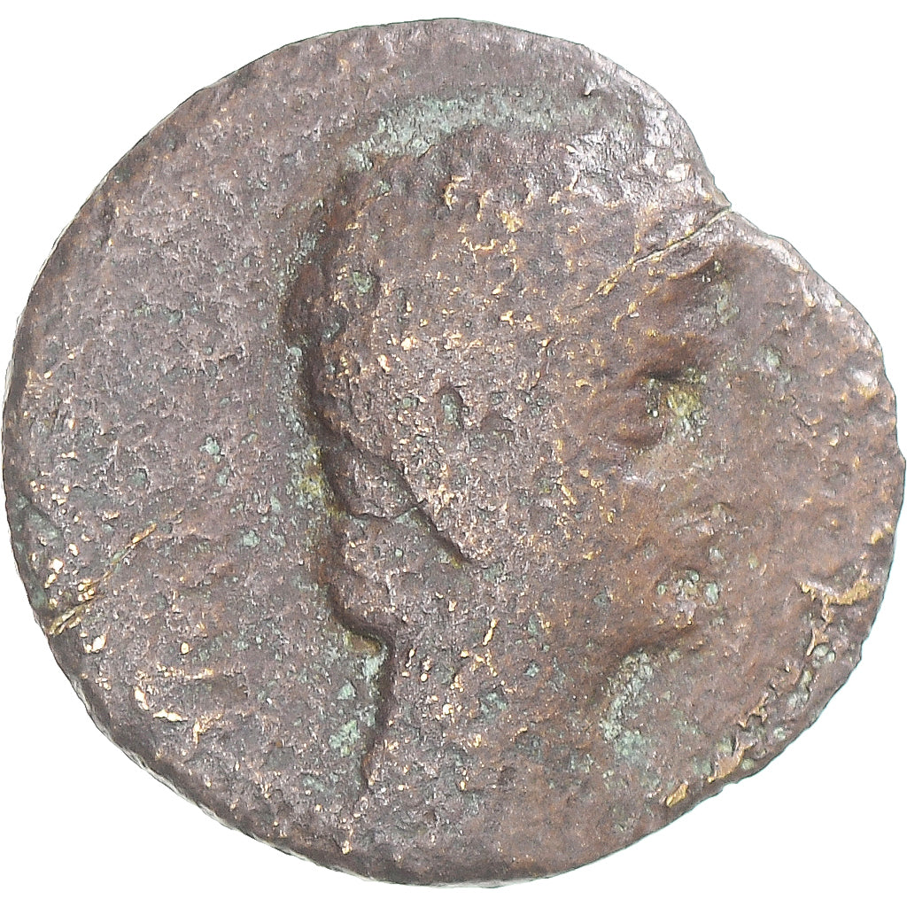Mince,
Augustus,
Kvadrany