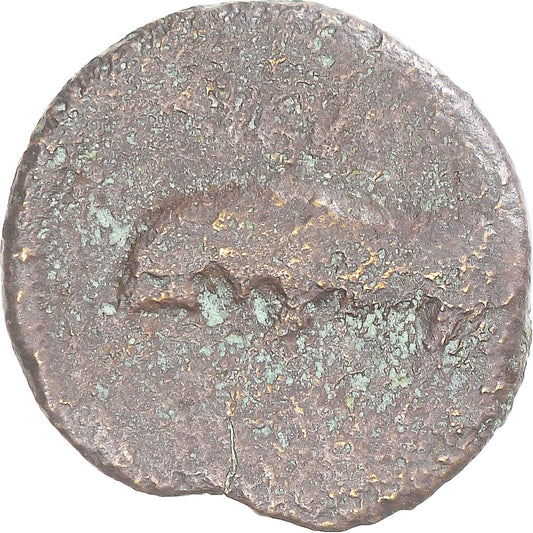 Mince,
Augustus,
Kvadrany