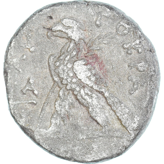 Mince,
Egypt,
Nero