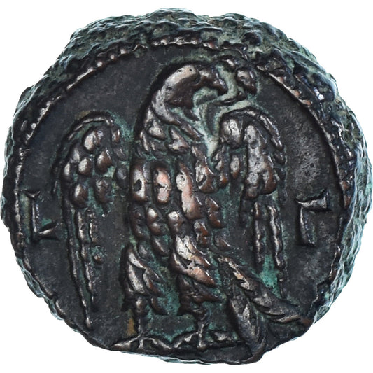 Mince,
Egypt,
Probus