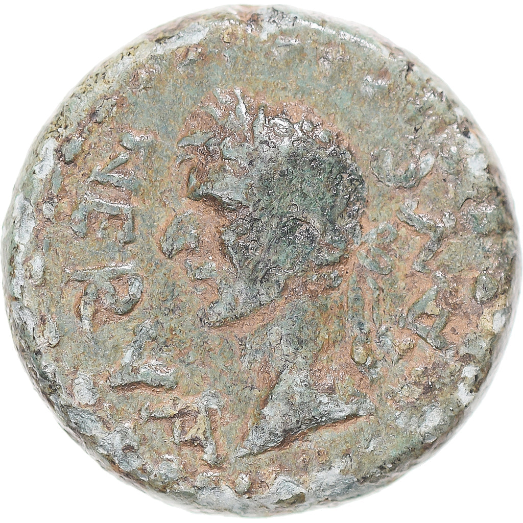 Mince,
mysia,
Nerva
