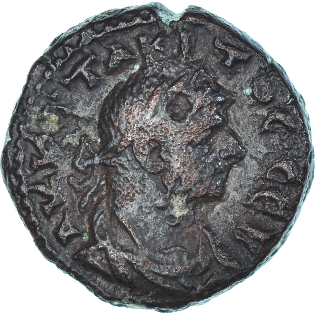 Mince,
Egypt,
Tacitus