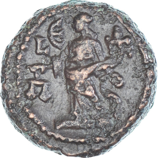 Mince,
Egypt,
Maximianus