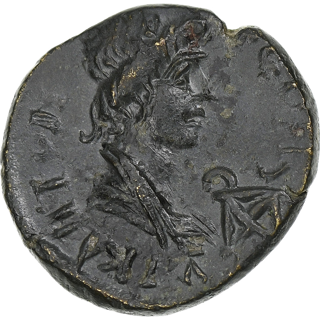 mysia,
Pseudoautonomní,
Æ