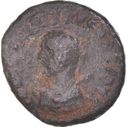 Mince, 
  
  crispus, 
  
  Follis