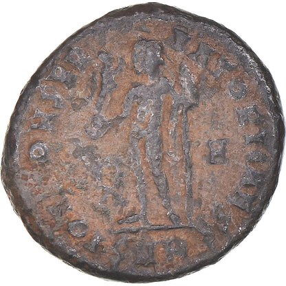 Mince, 
  
  crispus, 
  
  Follis