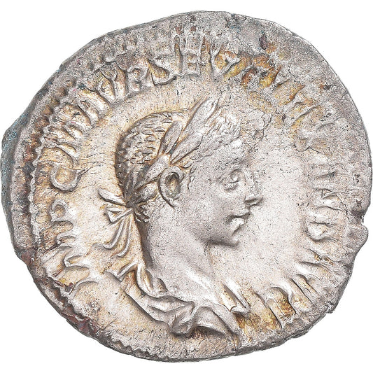 Mince, 
  
  Severus Alexander, 
  
  denár