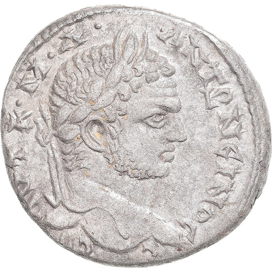 Mince, 
  
  Seleucis a Pieria, 
  
  Caracalla