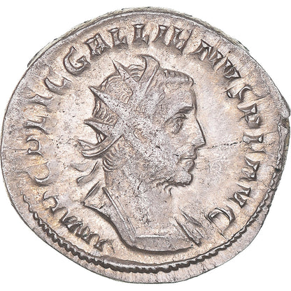 Mince, 
  
  Gallienus, 
  
  Antoninianus