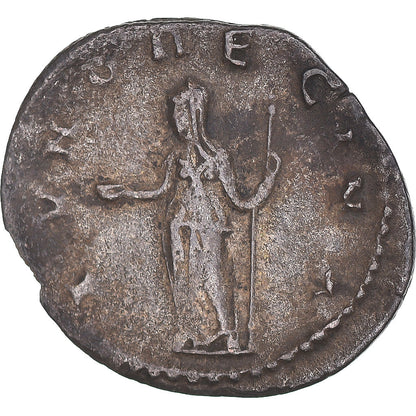 Mince, 
  
  Salonina, 
  
  Antoninianus