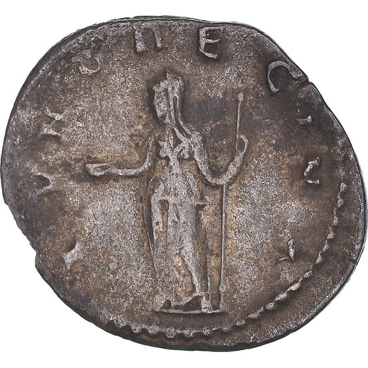 Mince, 
  
  Salonina, 
  
  Antoninianus