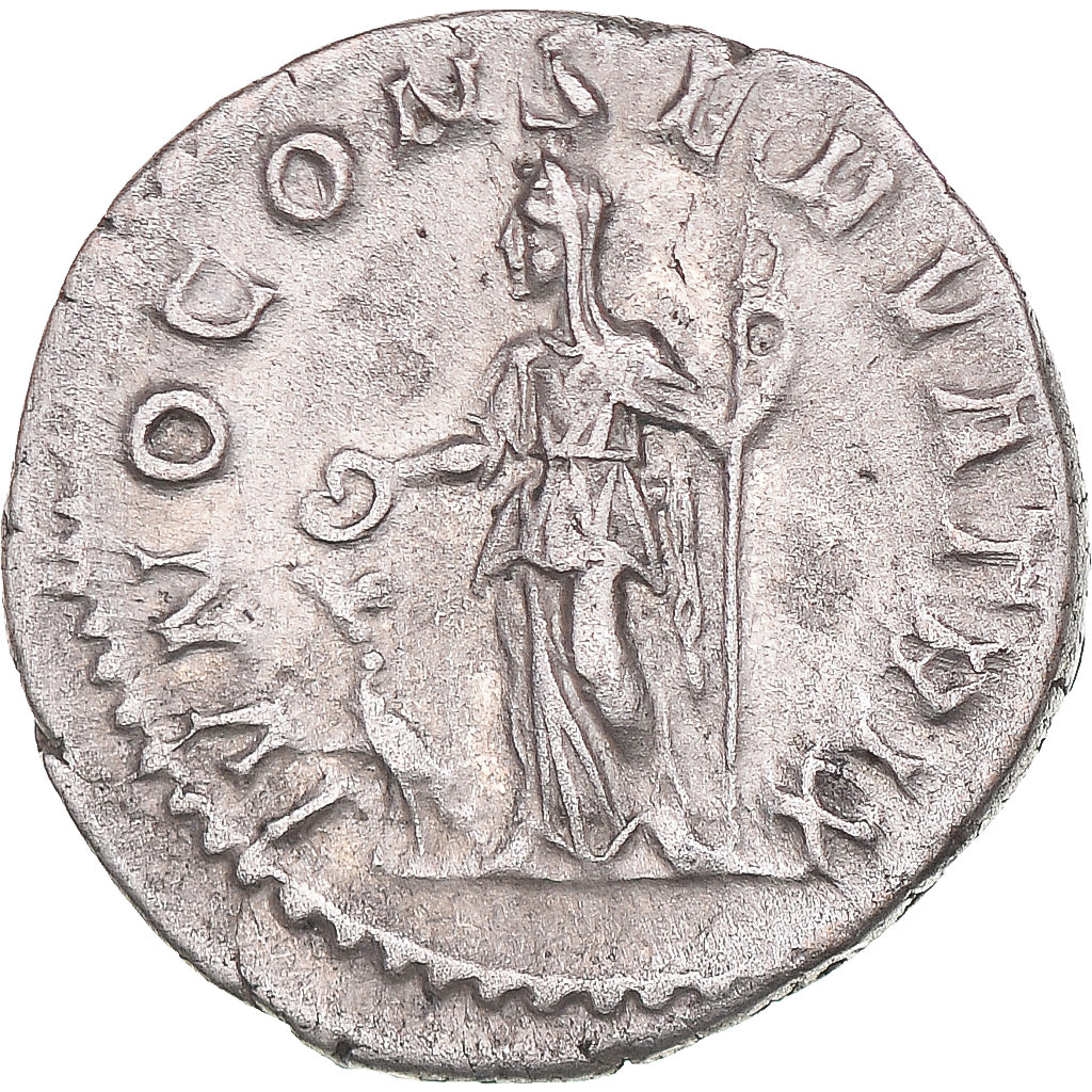 Mince, 
  
  Julia Mamaea, 
  
  denár
