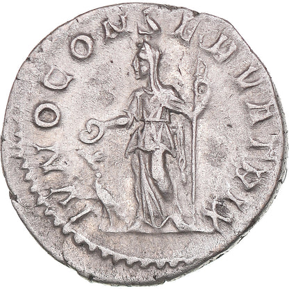 Mince, 
  
  Julia Mamaea, 
  
  denár