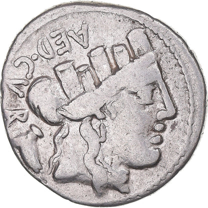 Mince, 
  
  Furia, 
  
  denár