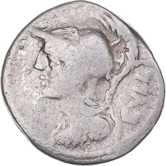 Mince, 
  
  Servilia, 
  
  denár