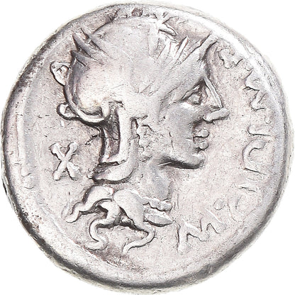 Mince, 
  
  Cipia, 
  
  denár