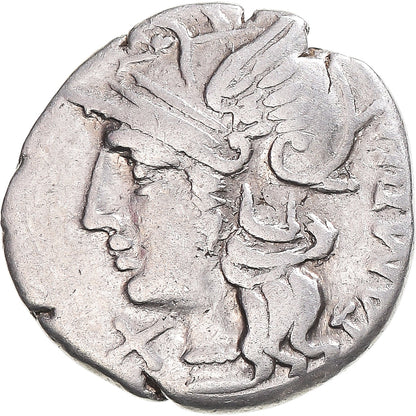 Mince, 
  
  baebia, 
  
  denár