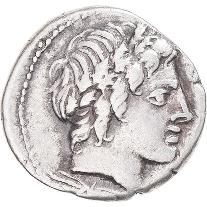 Mince, 
  
  Gargilius, 
  
  Ogulnius