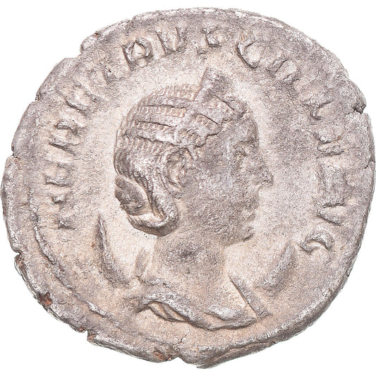 Mince, 
  
  Herennia Etruscilla, 
  
  Antoninianus