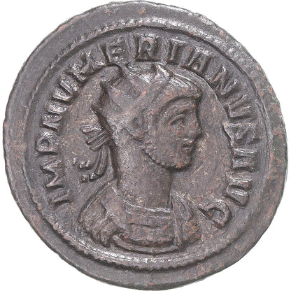 Mince, 
  
  Numerian, 
  
  Antoninianus