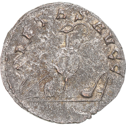 Mince, 
  
  Saloninus, 
  
  Antoninianus