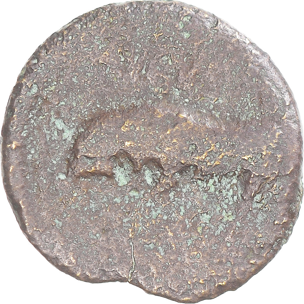 Mince, 
  
  Augustus, 
  
  Kvadrany