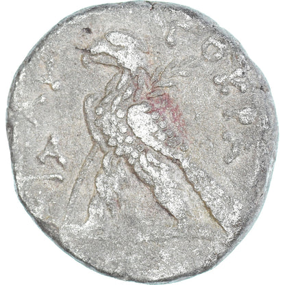Mince, 
  
  Egypt, 
  
  Nero