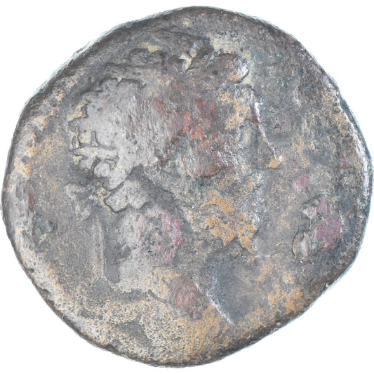 Mince, 
  
  Marcus Aurelius, 
  
  Dupondius