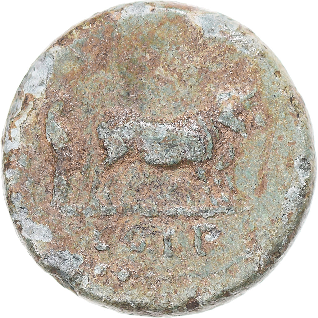 Mince, 
  
  mysia, 
  
  Nerva