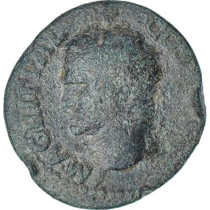 Agrippa, 
  
  jako, 
  
  37-41