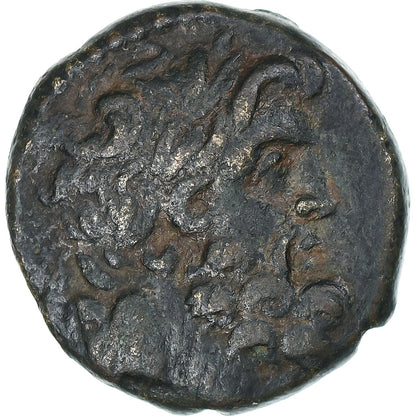 Blízký východ, 
  
  Augustus, 
  
  Æ