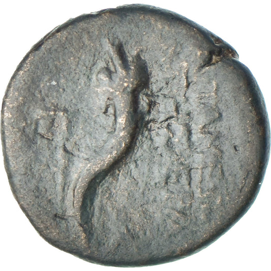 Seleucis a Pieria, 
  
  Pseudoautonomní, 
  
  Æ