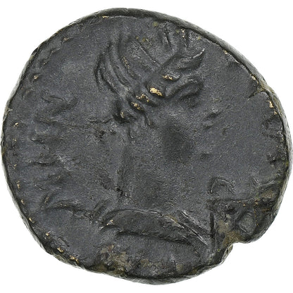 mysia, 
  
  Pseudoautonomní, 
  
  Æ