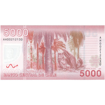 Chile, 
  
  5000 pesos, 
  
  2009